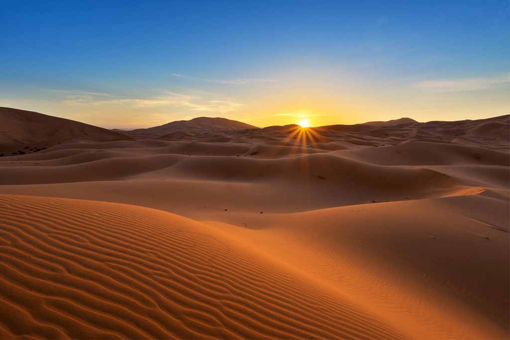 Camel caravan moving across Moroccan Sahara dunes at sunrise