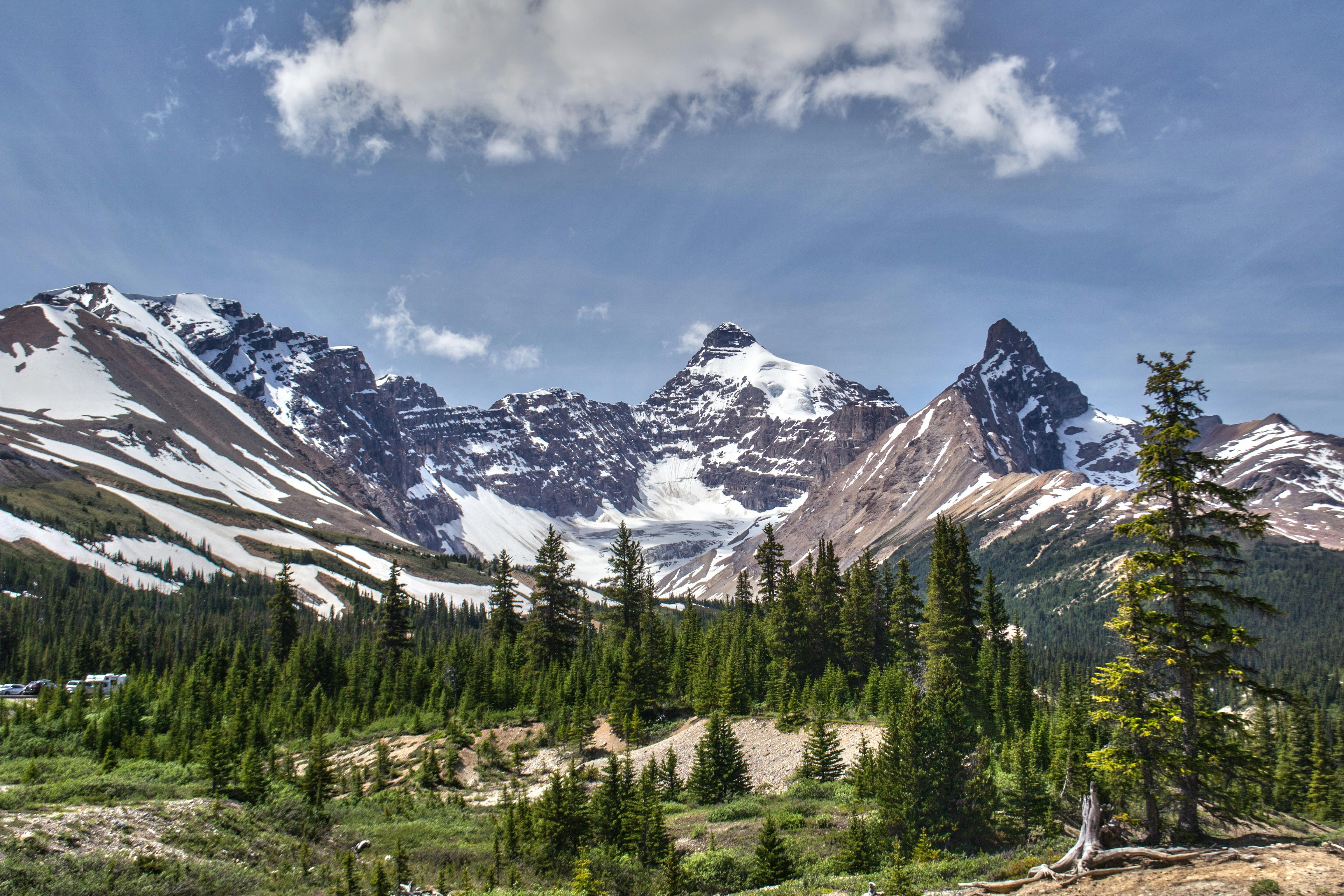 Pristine mountain lake and forest in the Canadian Rockies